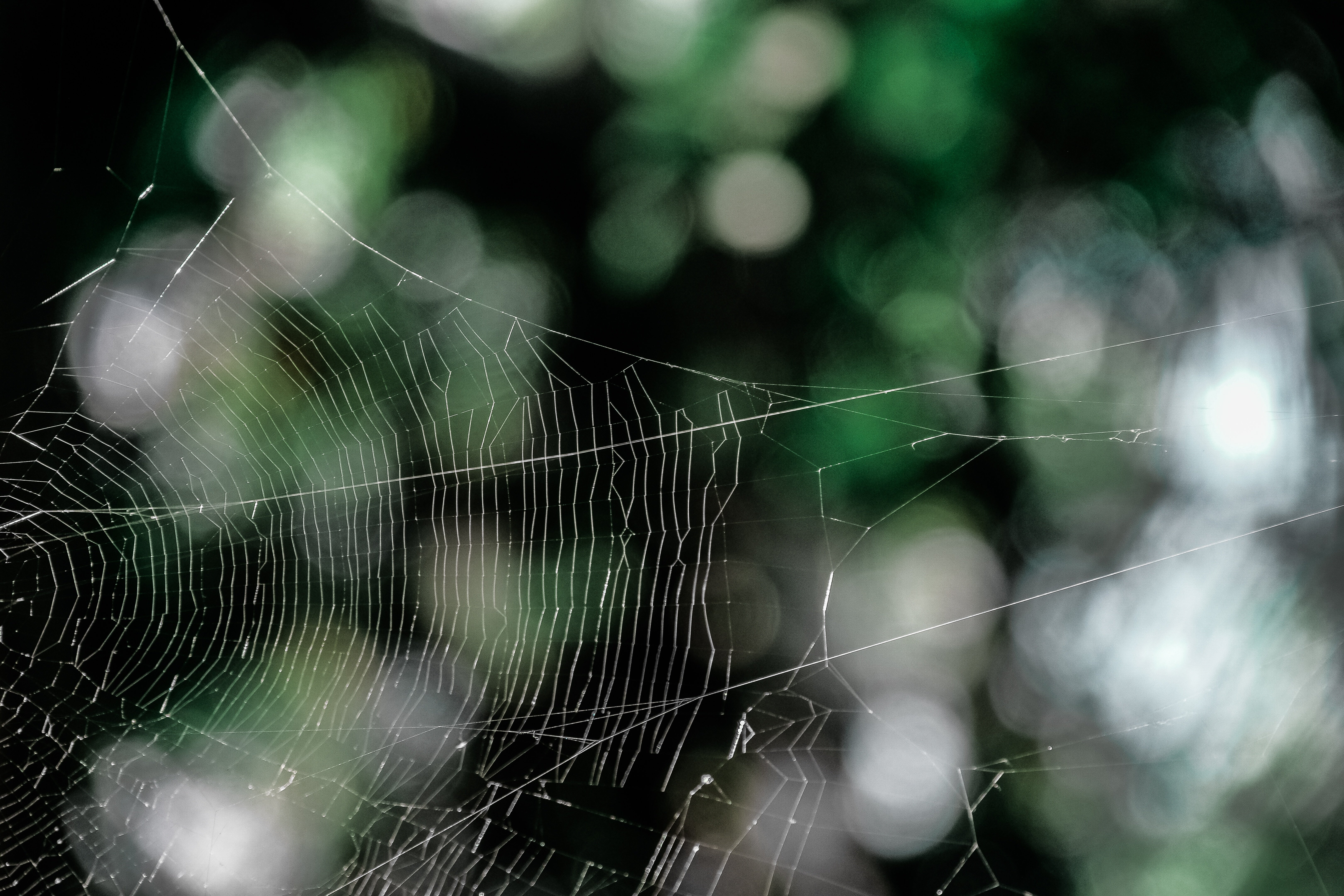 spiders web in front of blurred background to highlight the intricacies of a b2b content marketing strategyspiders web in front of blurred background to highlight the intricacies of a b2b content marketing strategy